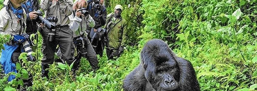 Adventure Activities in Uganda