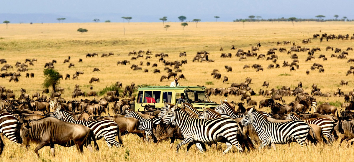 Kidepo Valley National Park