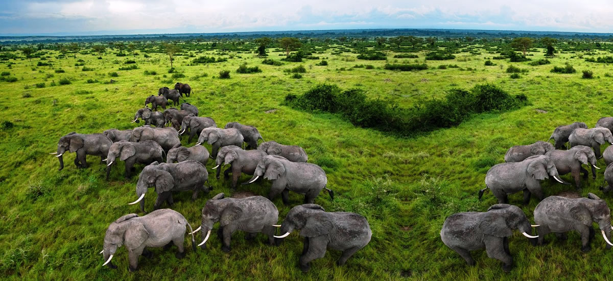 Queen Elizabeth National Park